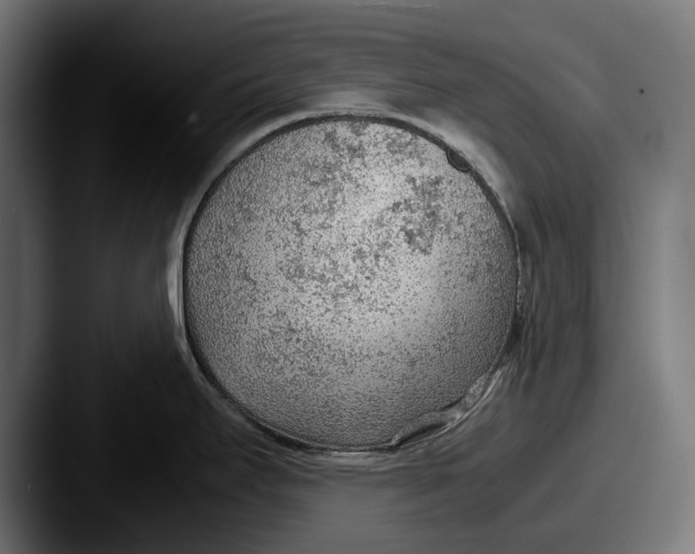 X0000087581295200705181154