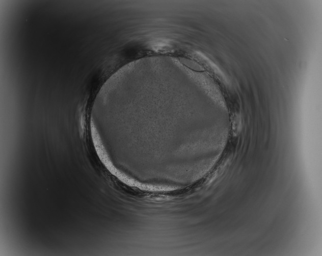 X0000087581298200705181154