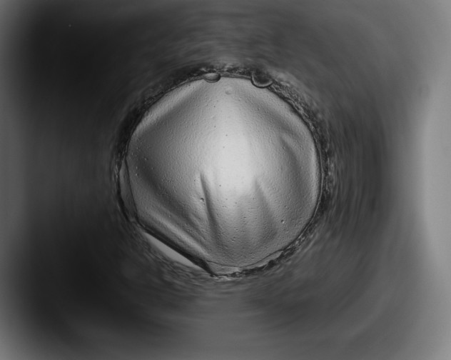 X0000087581302200705181154