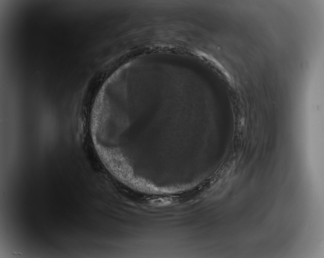 X0000087581303200705181154