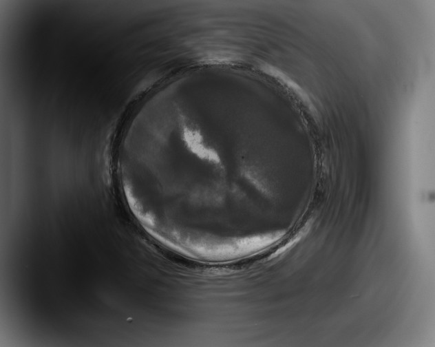 X0000087581306200705181154