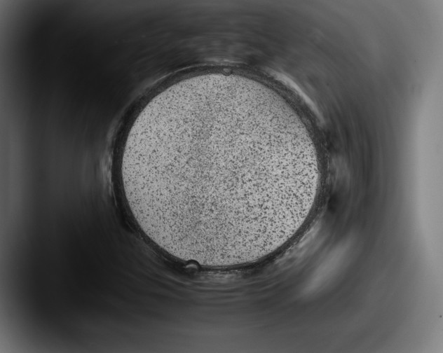 X0000087581307200705181154
