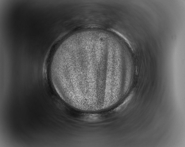 X0000087581309200705181154