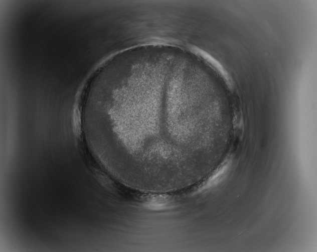X0000087581310200705181154