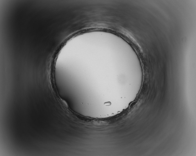 X0000087581312200705181154