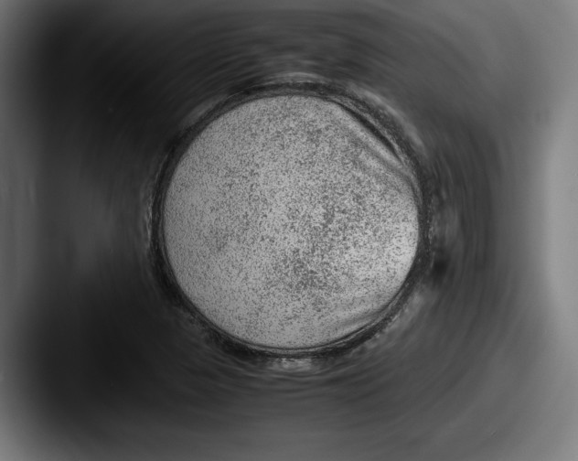 X0000087581313200705181154