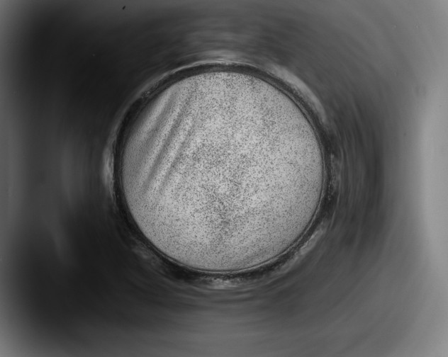 X0000087581318200705181154