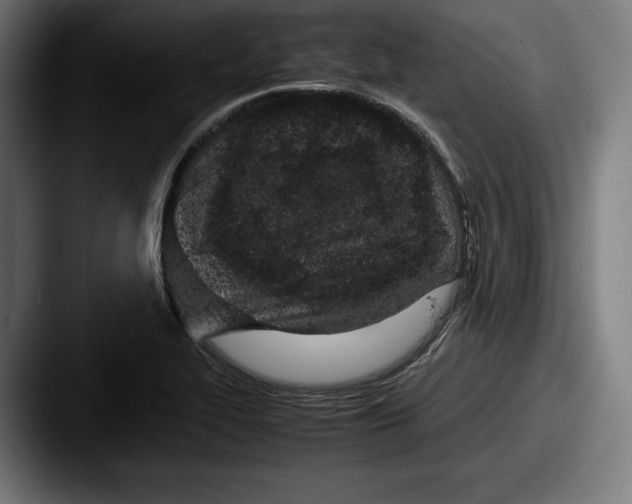 X0000087581319200705181154