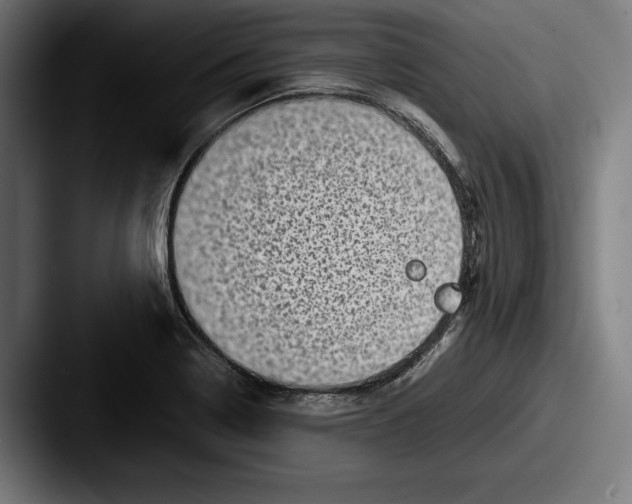 X0000087581322200705181154