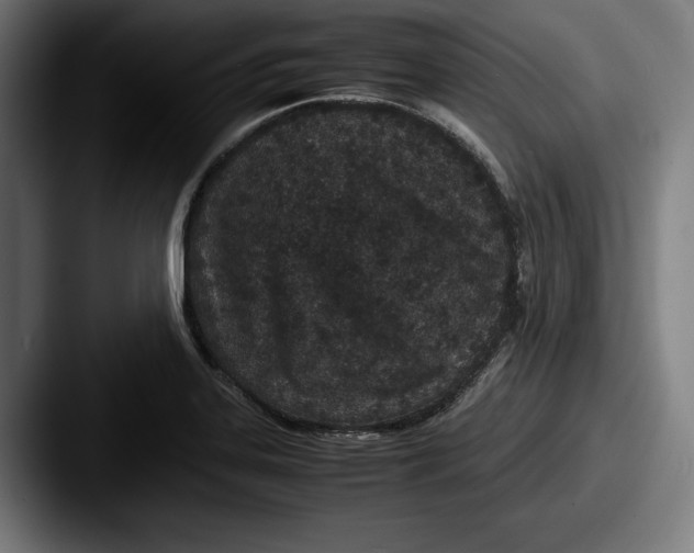X0000087581323200705181154