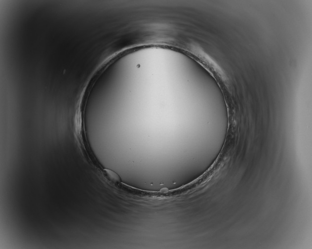 X0000087581324200705181154