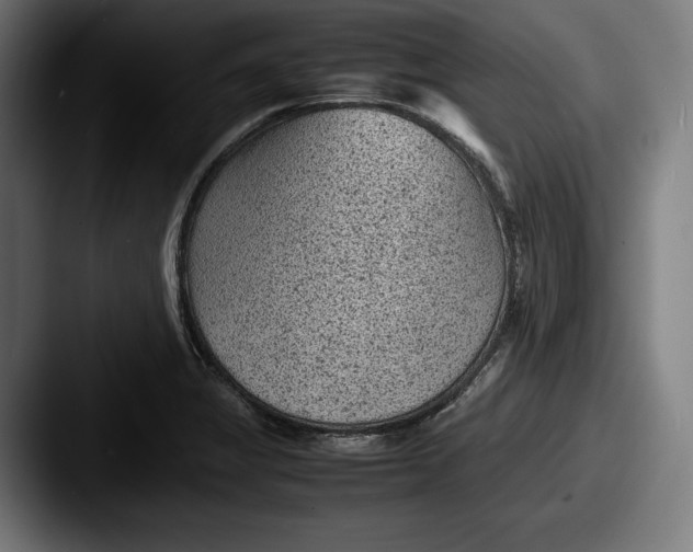 X0000087581325200705181154