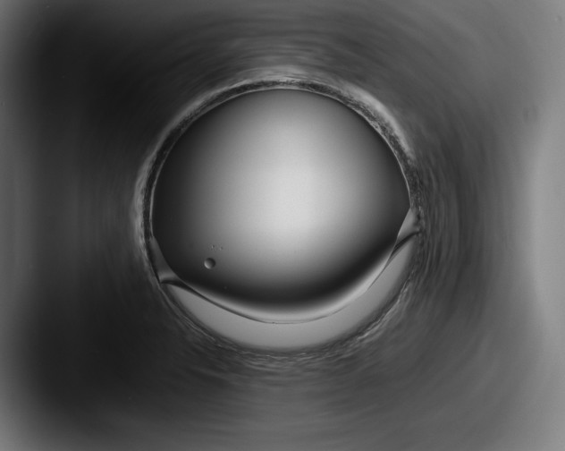 X0000087581326200705181154