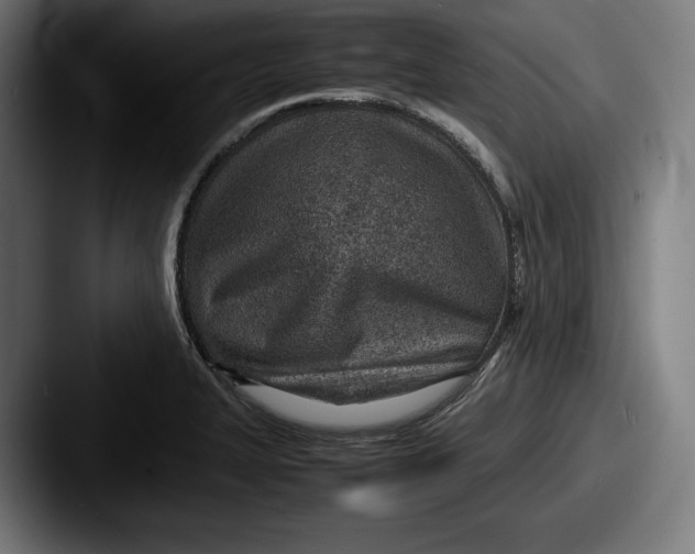 X0000087581327200705181154