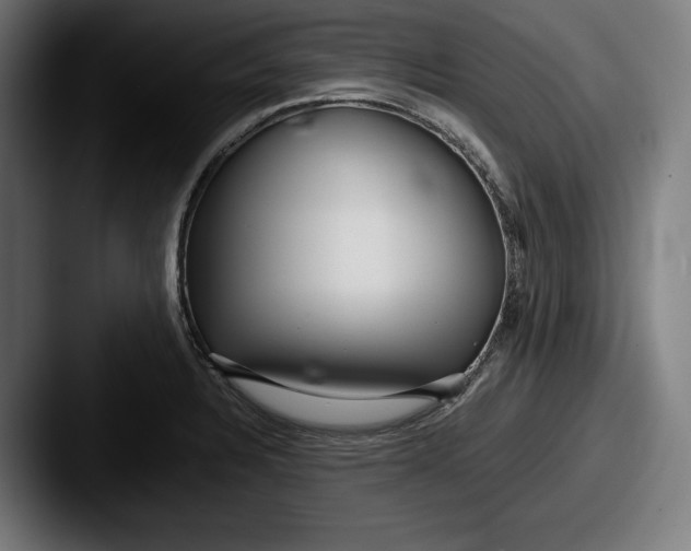 X0000087581328200705181154