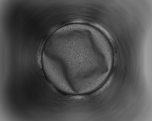 X0000087581329200705181154