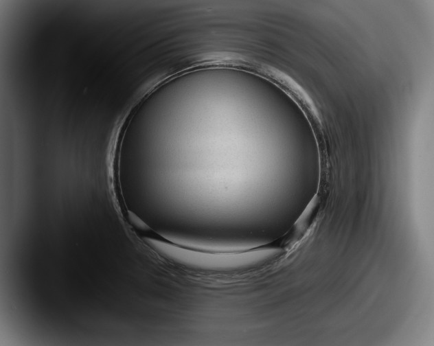 X0000087581330200705181154