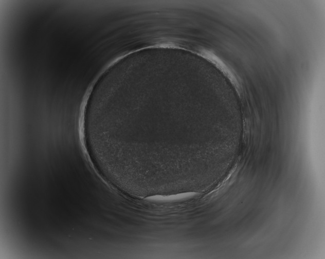 X0000087581331200705181154