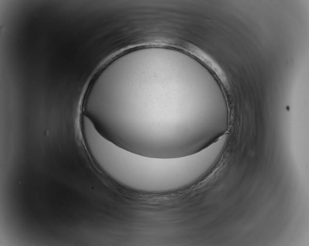 X0000087581332200705181154