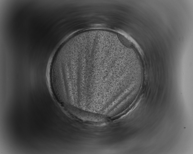 X0000087581333200705181154