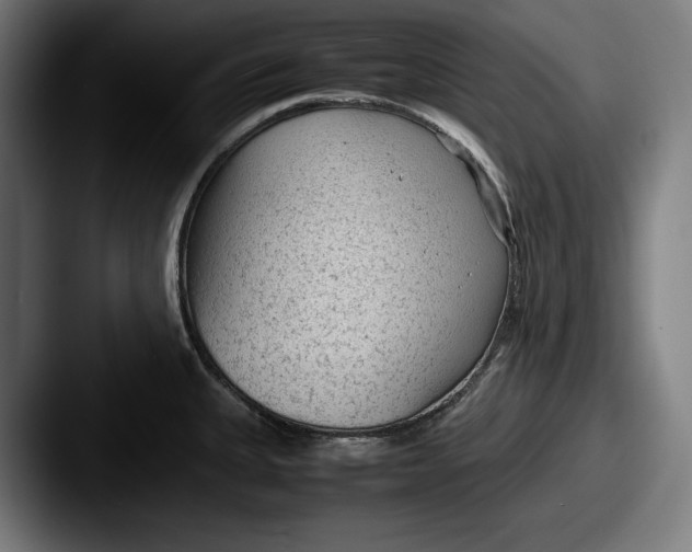 X0000087581335200705181154