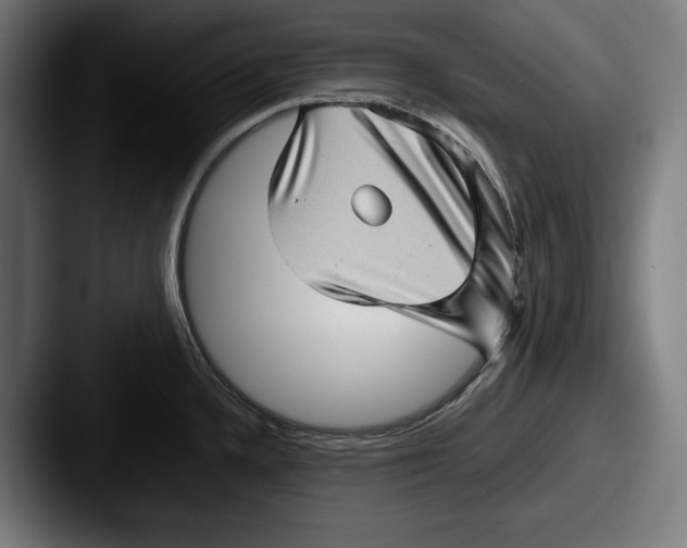 X0000087581336200705181154
