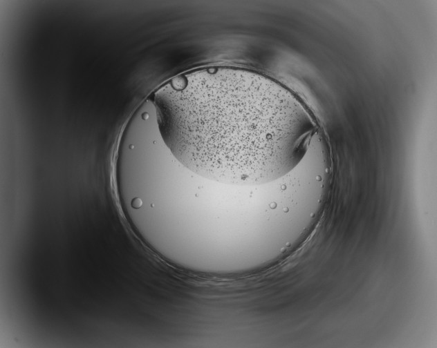X0000087581338200705181154