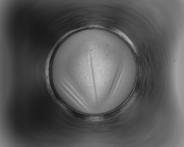 X0000087581339200705181154