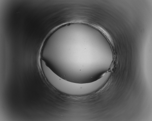 X0000087581340200705181154