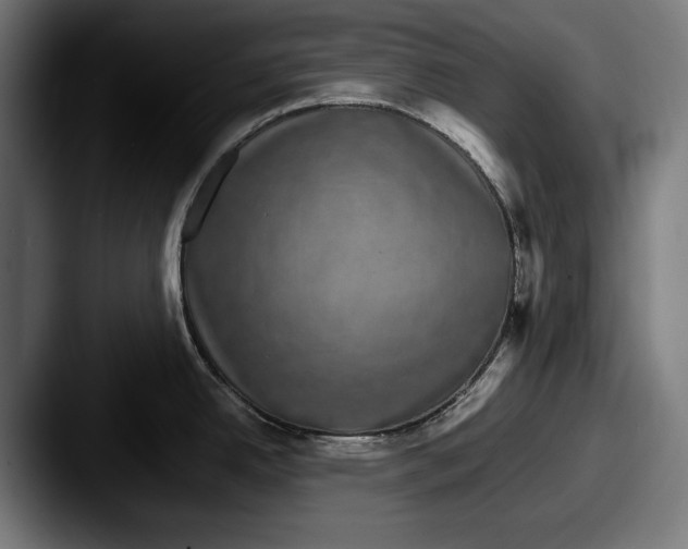 X0000087581342200705181154