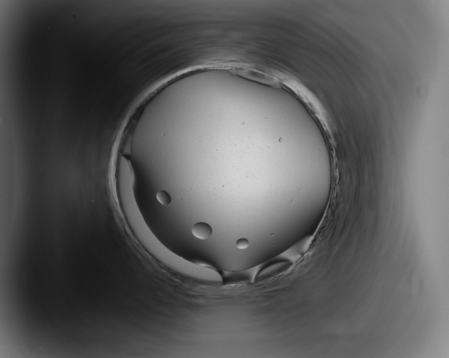 X0000087581344200705181154