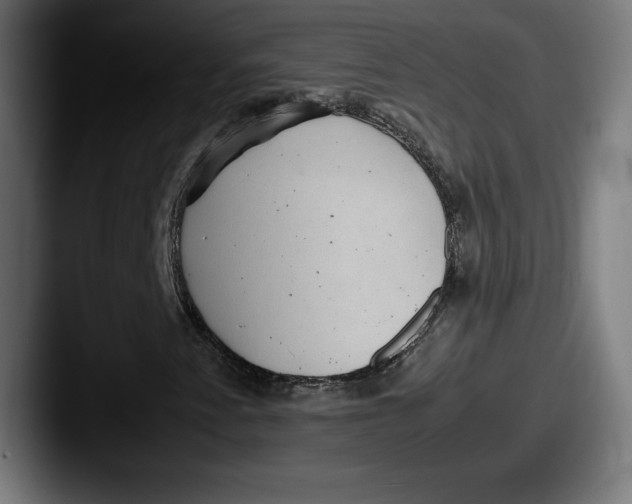 X0000087581345200705181154