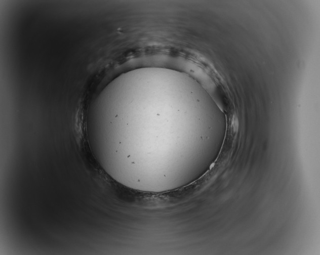 X0000087581348200705181153
