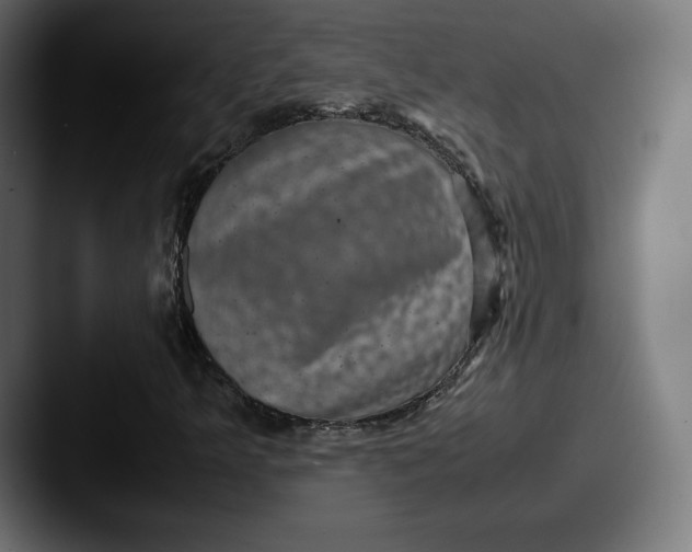 X0000087581349200705181153