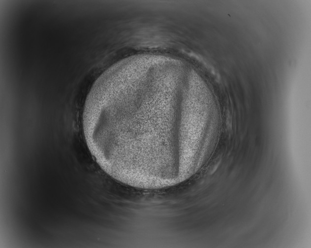 X0000087581350200705181153