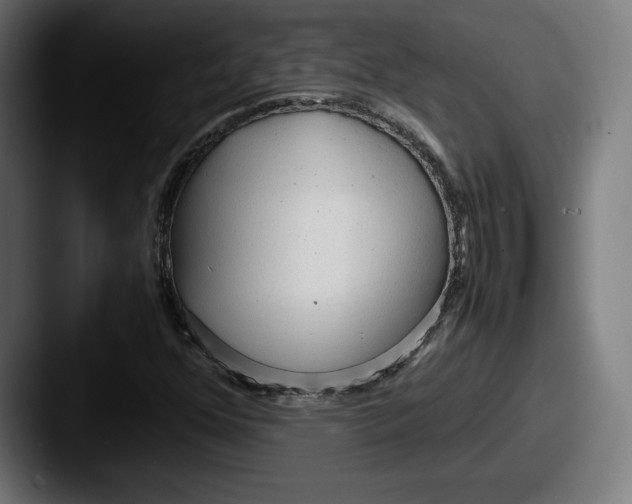 X0000087581352200705181153