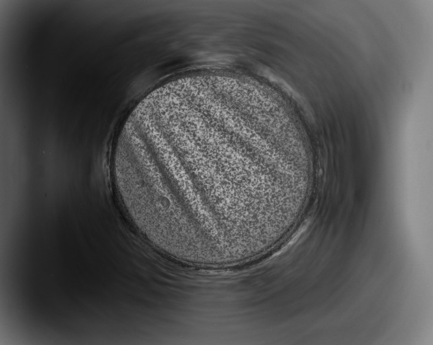 X0000087581354200705181153