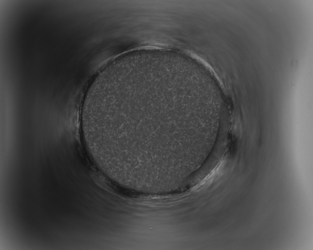 X0000087581355200705181153