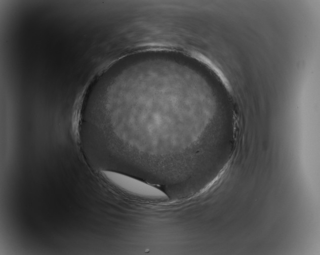 X0000087581357200705181153