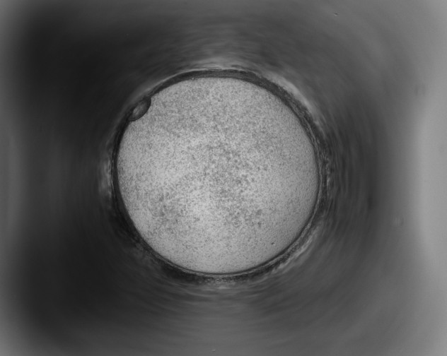 X0000087581358200705181153