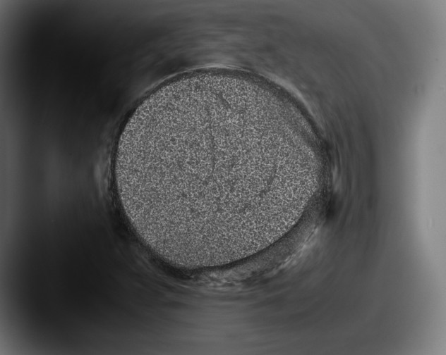 X0000087581359200705181153