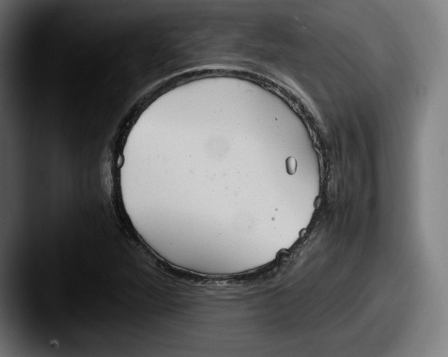 X0000087581360200705181153
