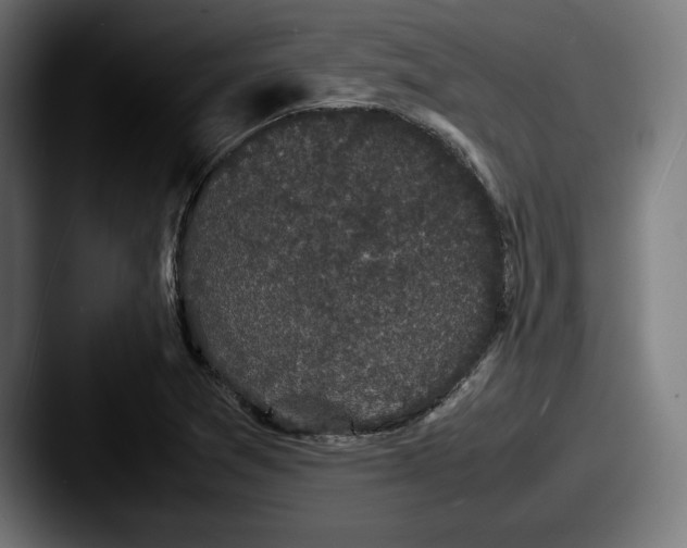 X0000087581361200705181153