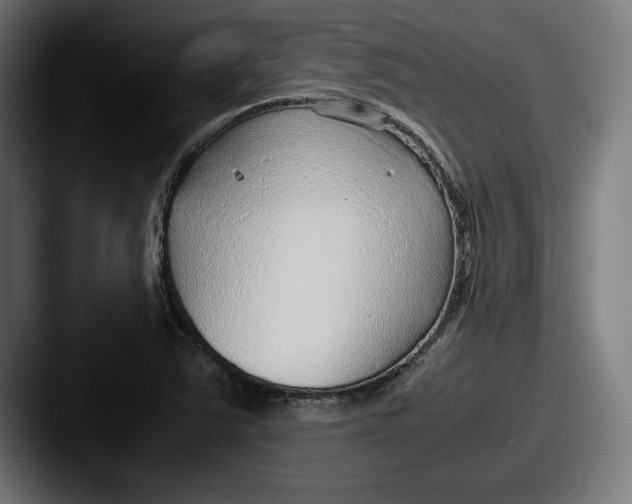 X0000087581363200705181153