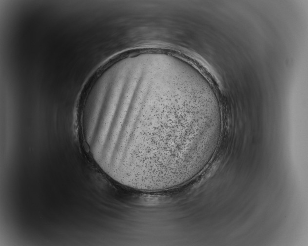 X0000087581364200705181153