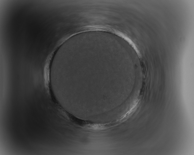 X0000087581365200705181153