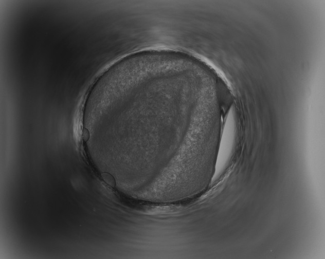 X0000087581367200705181153