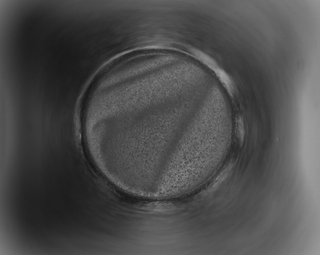 X0000087581368200705181153