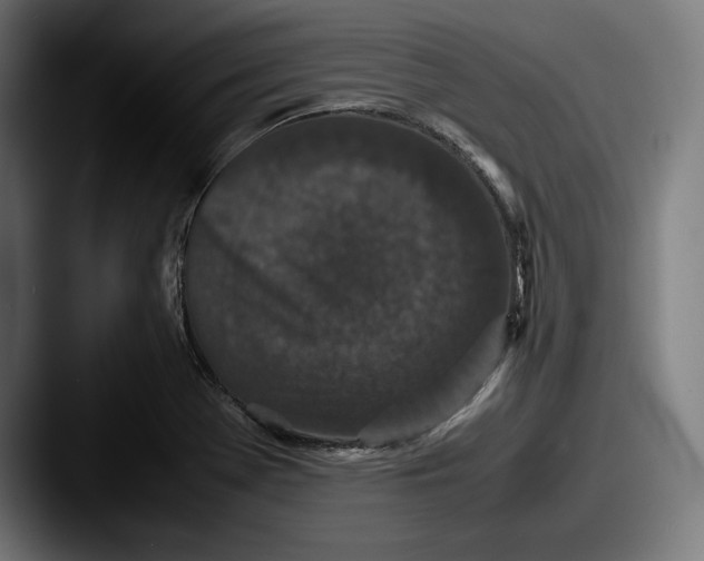 X0000087581369200705181153