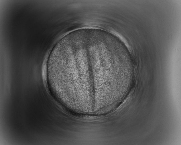 X0000087581371200705181153